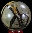 Bargain, Polished Septarian Sphere - Madagascar #67841-1